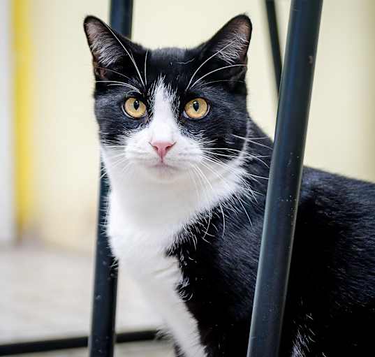 Photo of Walter