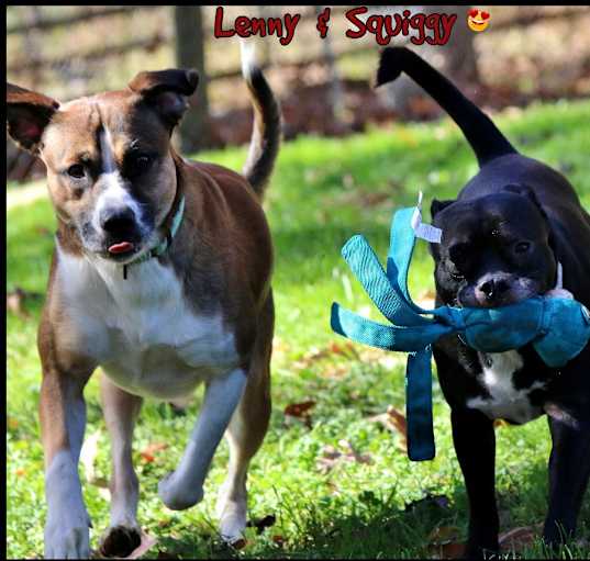 Photo of Lenny & Squiggy