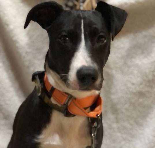 Photo of Lila