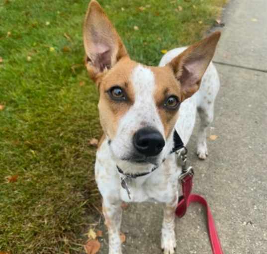 Photo of Lucy