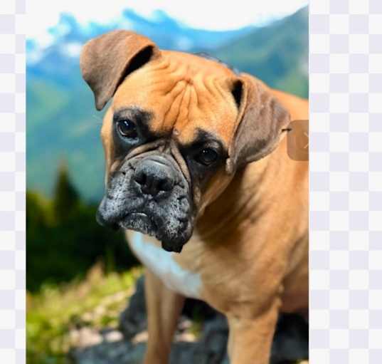 Photo of WINNIE