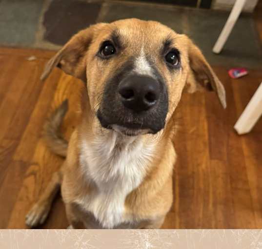 Photo of Sheriff