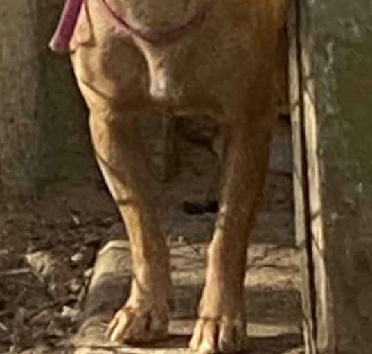Photo of Eleni