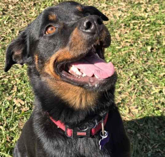 Photo of Sadie Lou Who