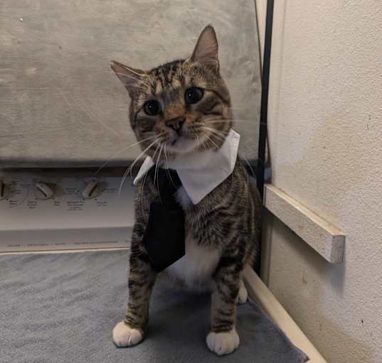 Photo of Winston