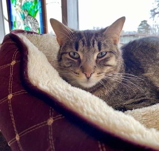 Photo of Sally Kat