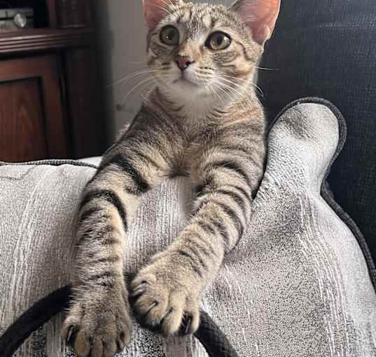 Photo of Titi