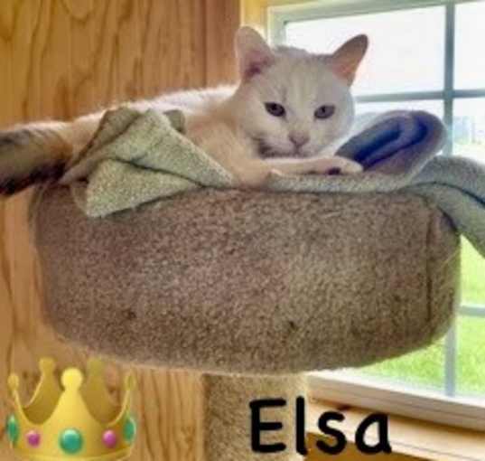 Photo of Elsa