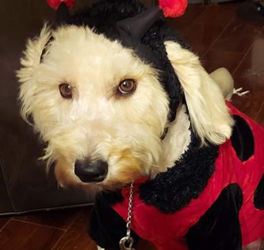 Photo of Sugar