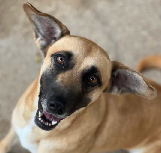 Photo of Winnie