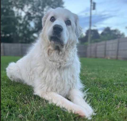 Photo of Nellie