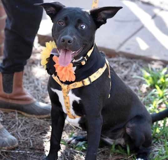 Photo of WINNIE