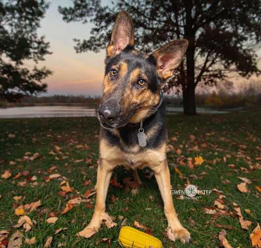Photo of Gage