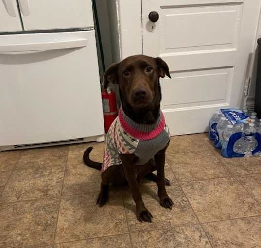 Photo of Hershey