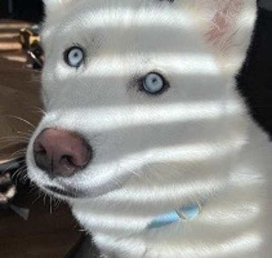 Photo of Marble