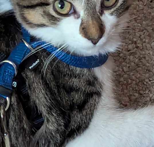 Photo of PENNY