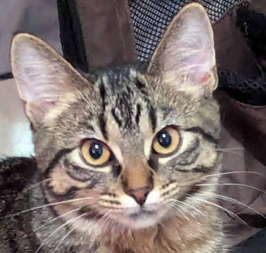 Photo of SASSY