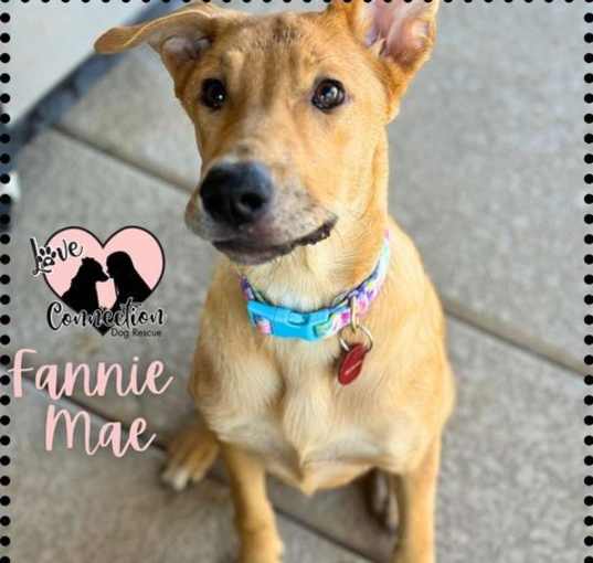 Photo of Fannie Mae