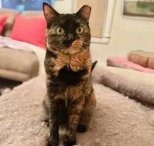 Photo of Holly