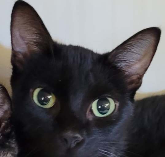 Photo of Tia
