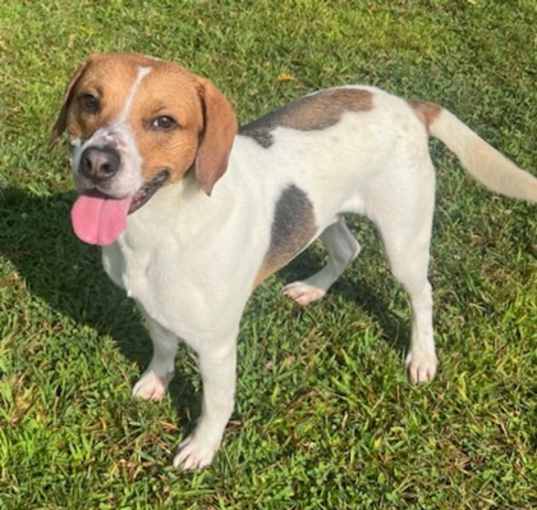 Photo of Buster