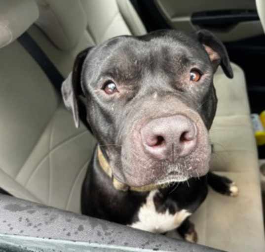 Photo of Charlie Brown