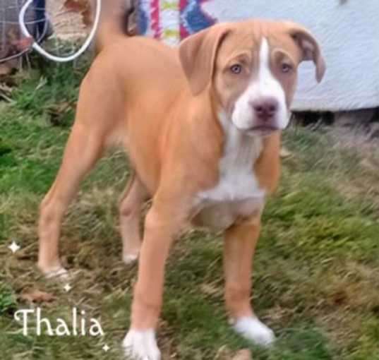Photo of Thalia