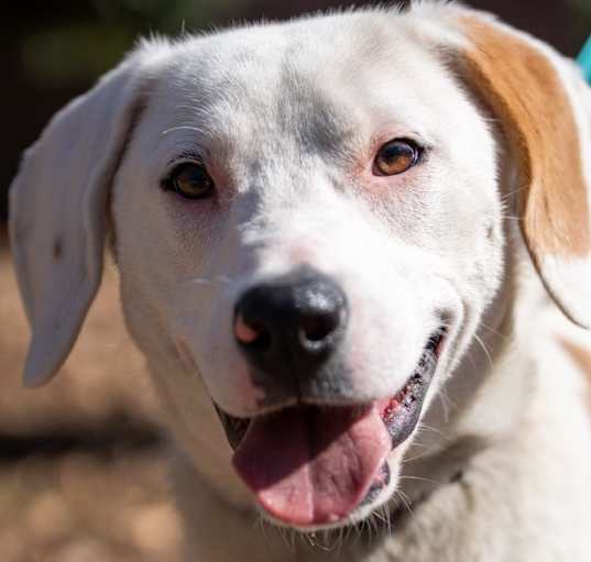 Photo of Cosmo