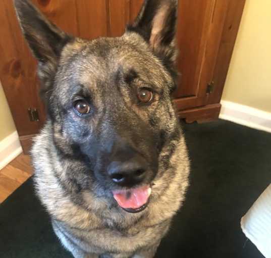 Photo of Axel