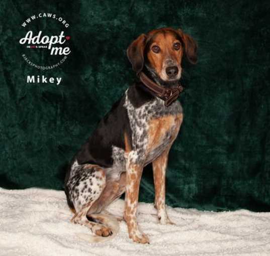 Photo of Mikey