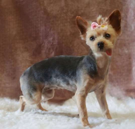 Photo of *Maya BLUE -- AUG 2024