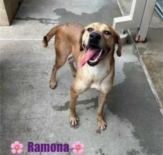 Photo of Ramona Flowers