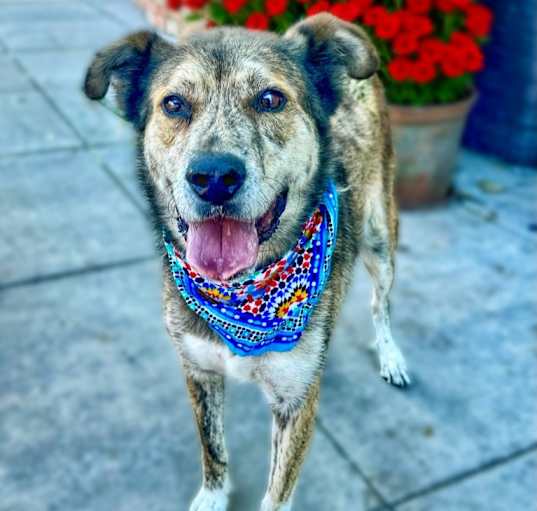 Photo of Cash