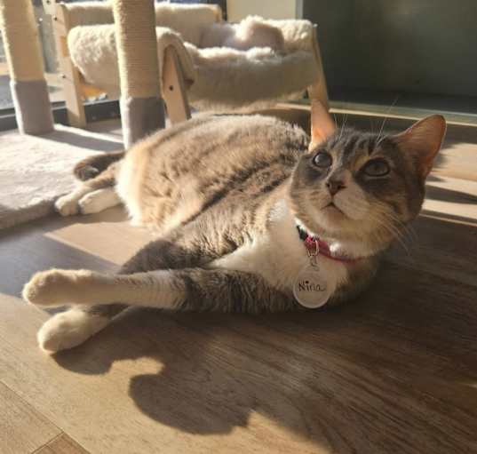 Photo of Nina