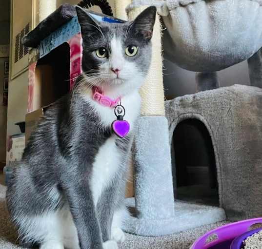 Photo of Lilly