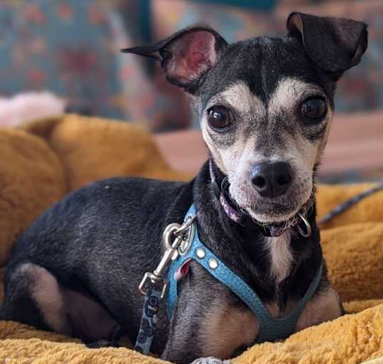Photo of Gambit