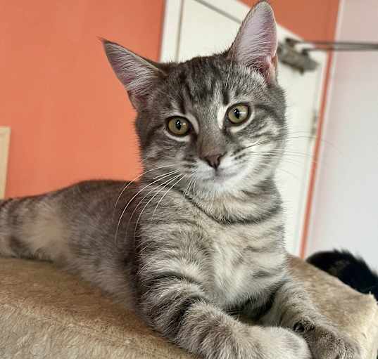 Photo of Elijah