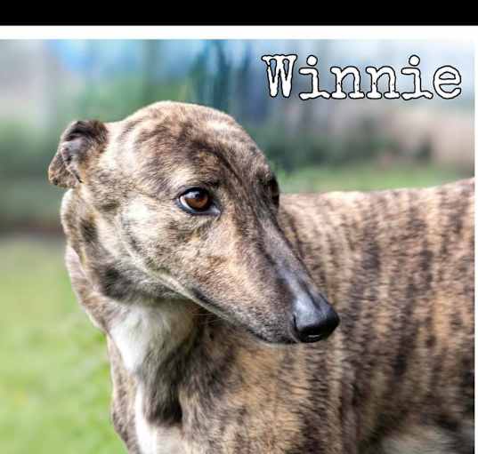 Photo of Winnie