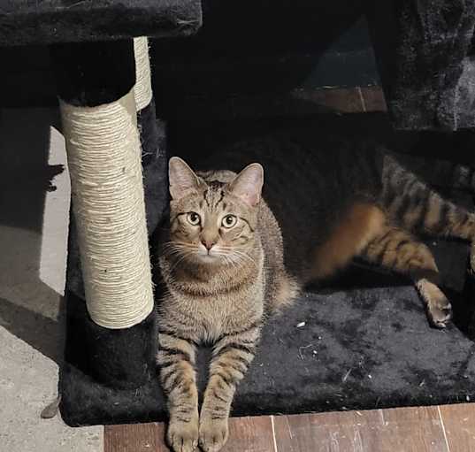Photo of Finn