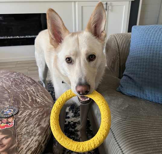 Photo of Finnegan