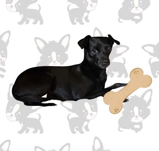 Photo of Vera