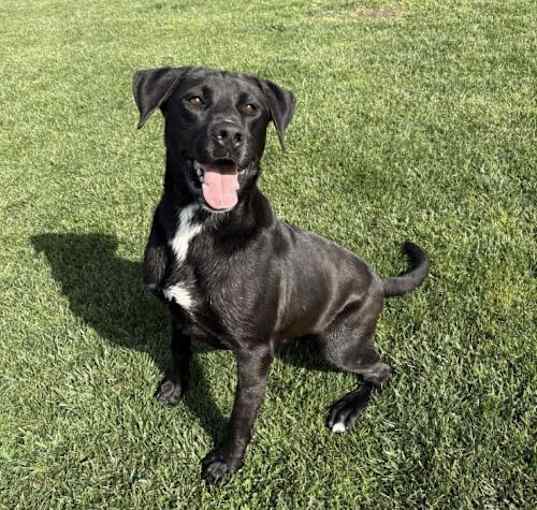 Photo of Cash