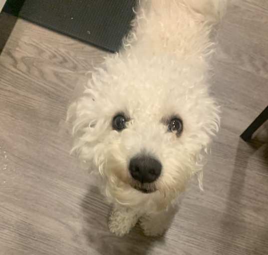 Photo of Bentley