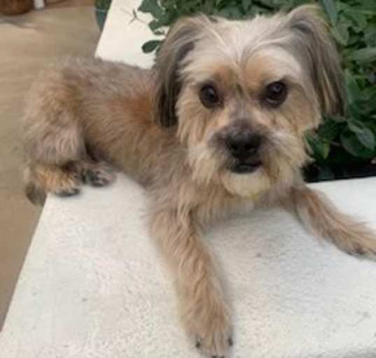 Photo of COLBY