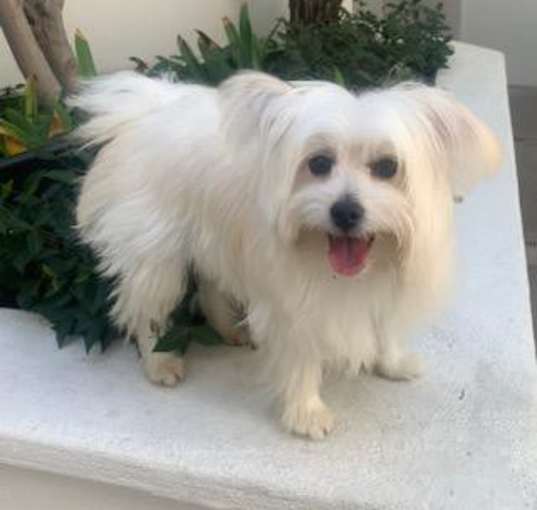 Photo of JORDY