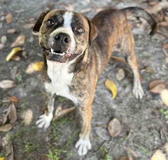 Photo of Fonzie