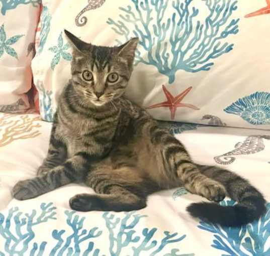 Photo of EMMA