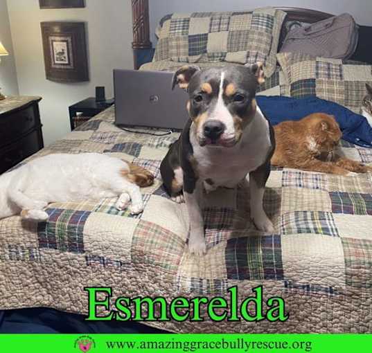 Photo of Esmerelda