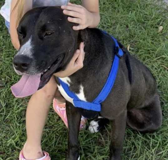 Photo of Apollo