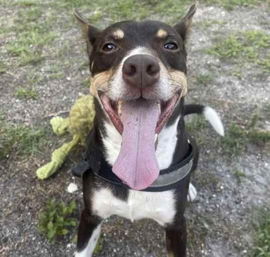 Photo of Cooper